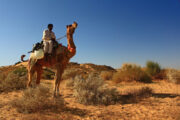 The Great Indian Desert