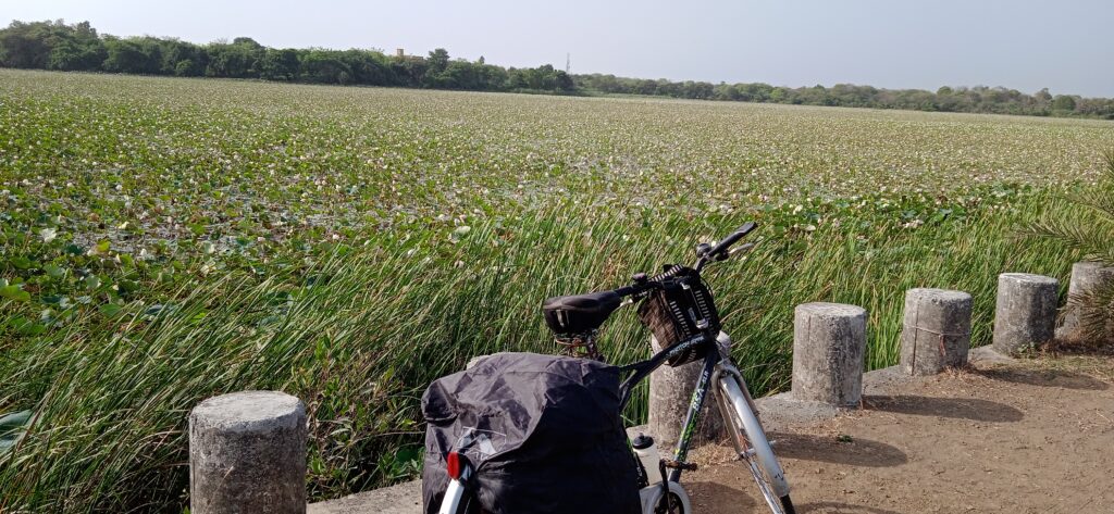 Statue of Unity cycle trip