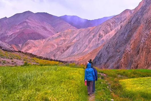 Markha Valley Trek by LAFL