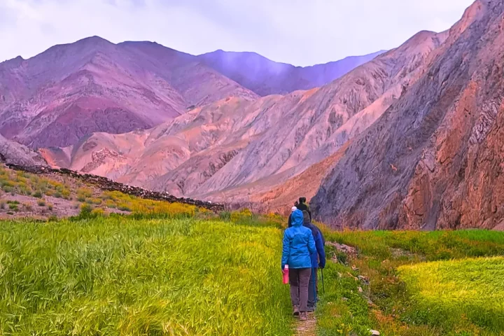 Markha Valley Trek by LAFL
