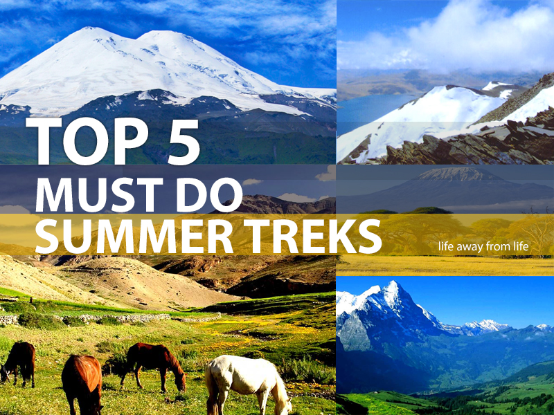 TOP 5 ‘Must-Do’ summer treks  2018 by Life Away From Life