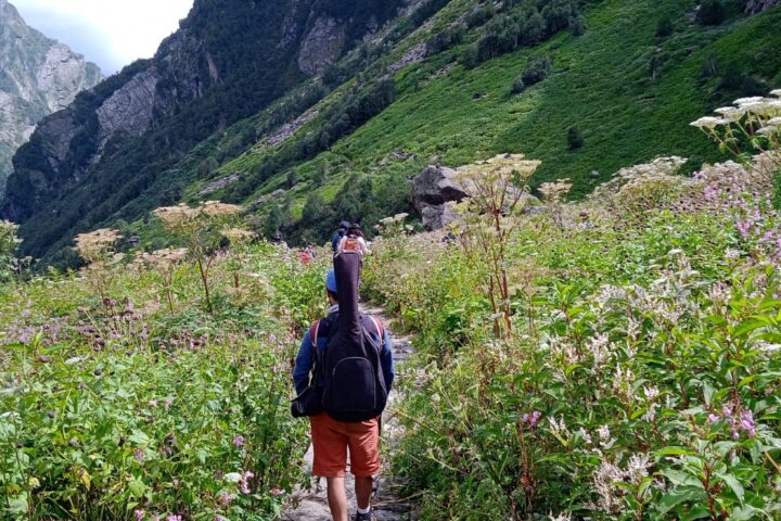 Valley of flowers trek