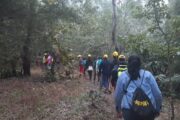 ransai forest trek