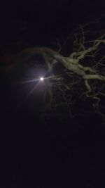 night trek to visapur fort