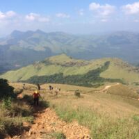 Parent and child trekking through lush green hills and coffee plantations in Coorg