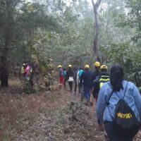 ransai forest trek