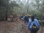 ransai forest trek