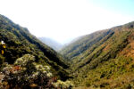 Meghalaya jeep Safari