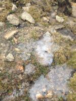 frozen times Mentok Kangri Expedition 2016