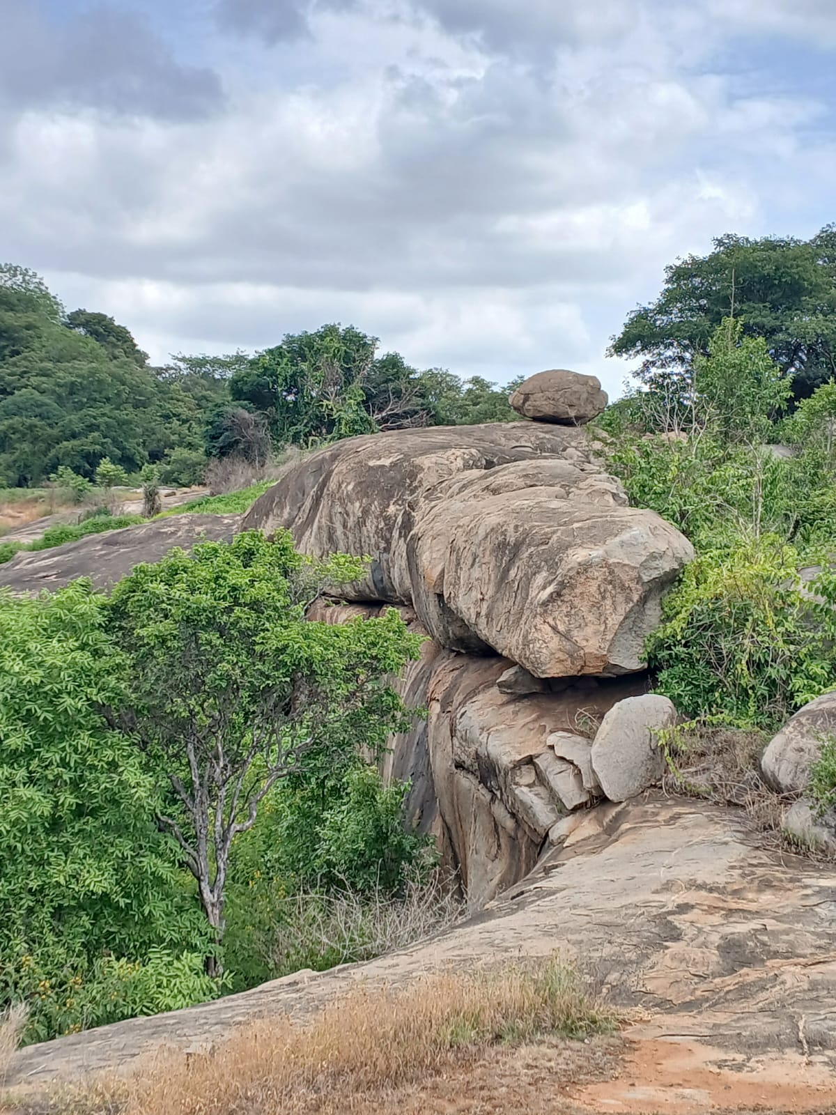 children's adventure camp in Kanakapura
