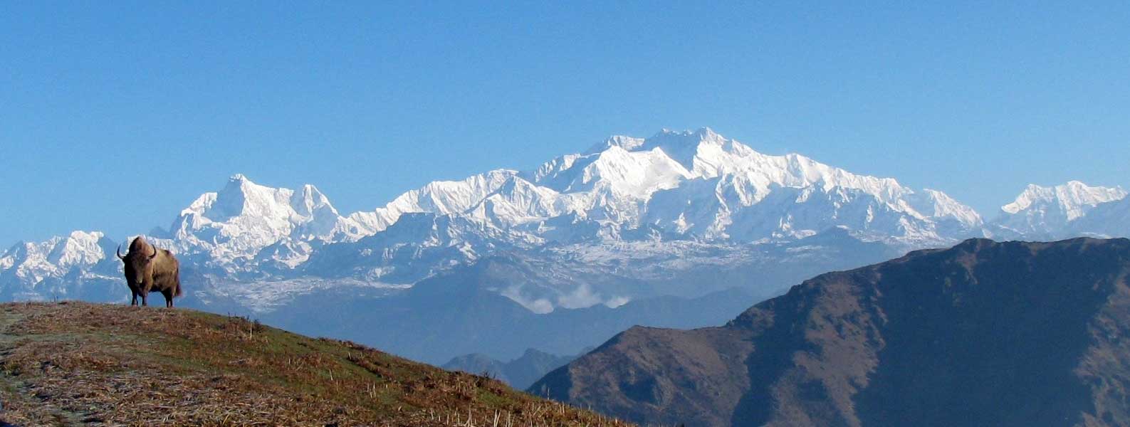 The Sandakphu Phalut trek