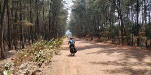 Konkan Coastal cycling