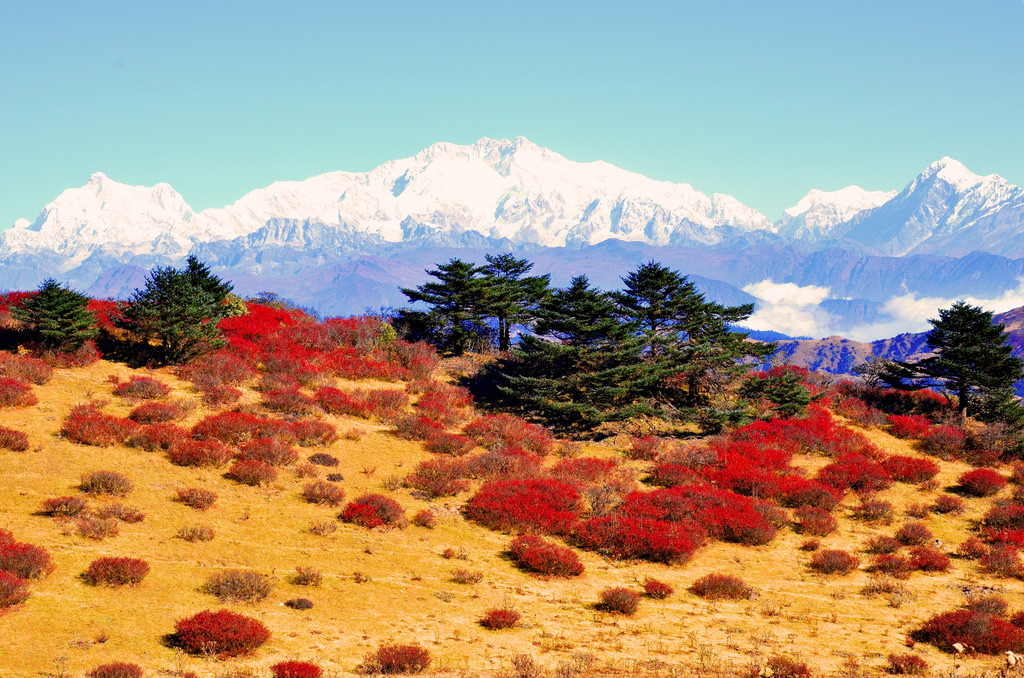 The Singalila ridge trek : Sandakphu