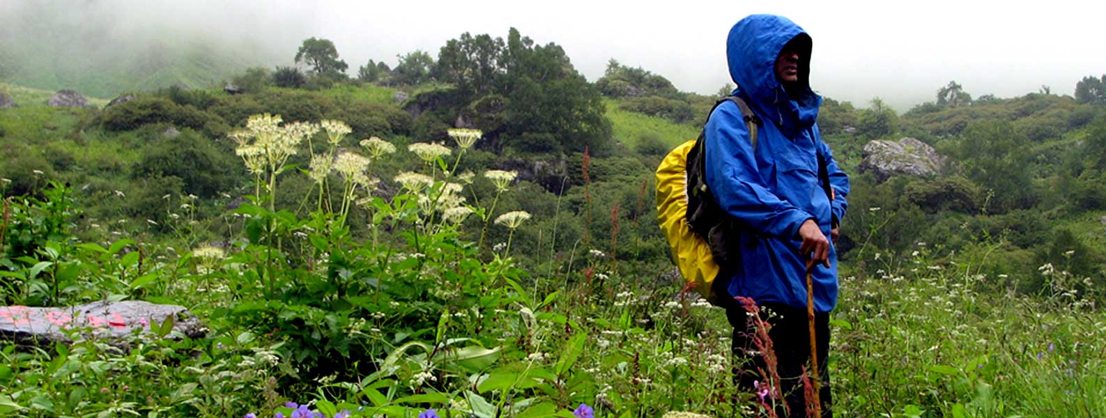 Valley of Flowers Trek